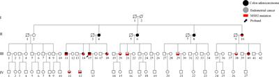 The MSH2 c.793-1G>A variant disrupts normal splicing and is associated with Lynch syndrome